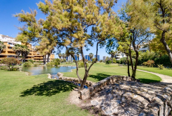 Rynek wtórny - Apartament - Torrevieja - Punta Prima