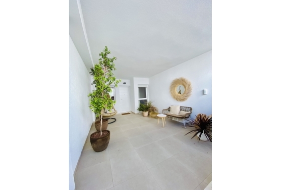Obra nueva - Apartment - Pilar de la Horadada