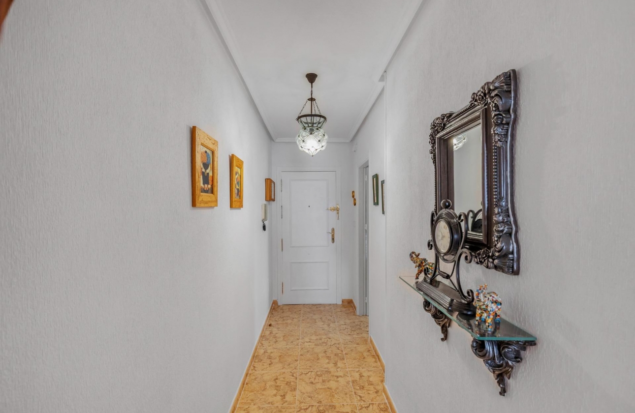 Rynek wtórny - Apartament - Torrevieja - Estacion de autobuses