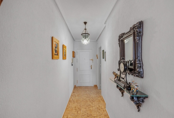 Rynek wtórny - Apartament - Torrevieja - Estacion de autobuses