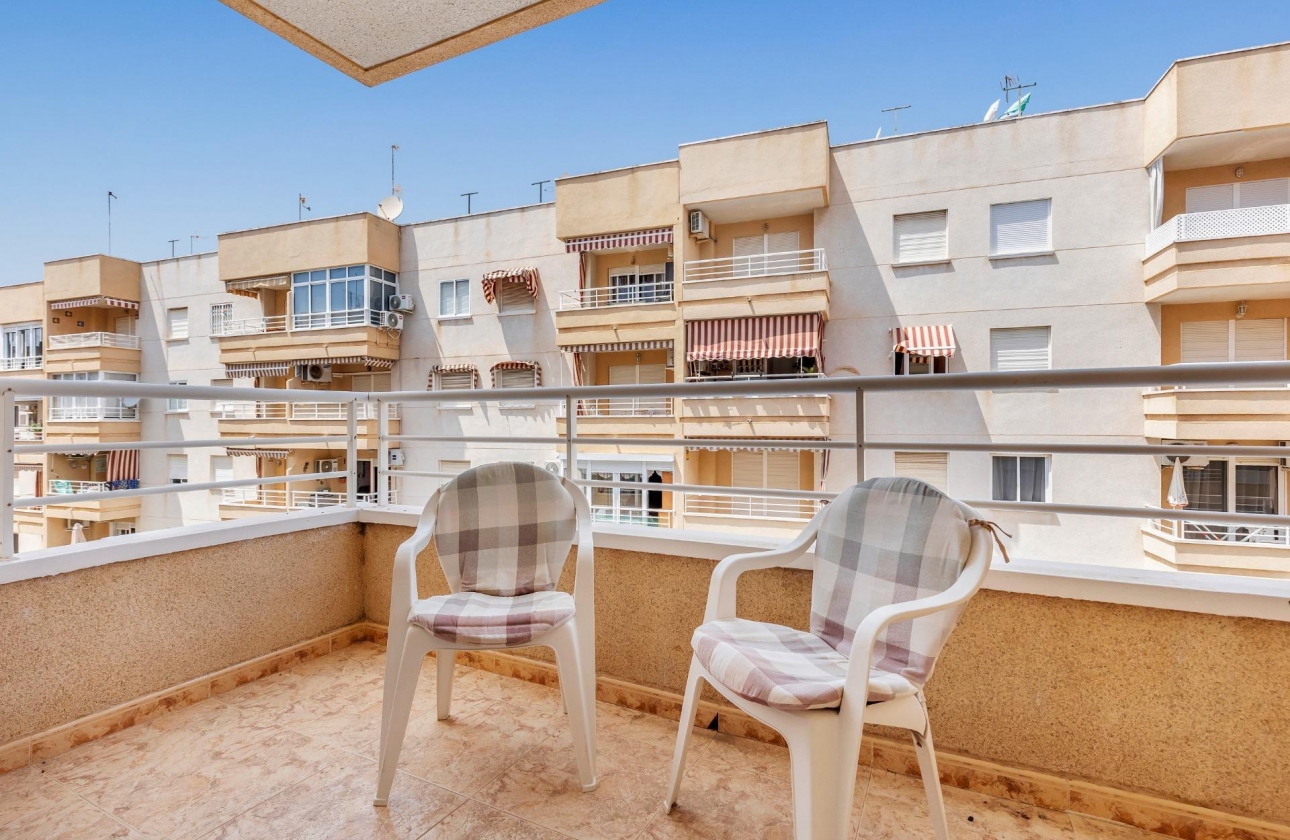 Rynek wtórny - Apartament - Torrevieja - Estacion de autobuses
