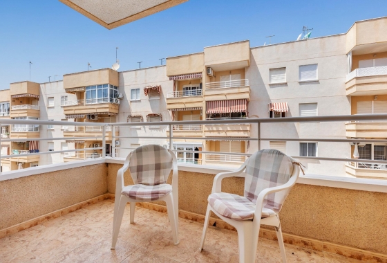 Rynek wtórny - Apartament - Torrevieja - Estacion de autobuses