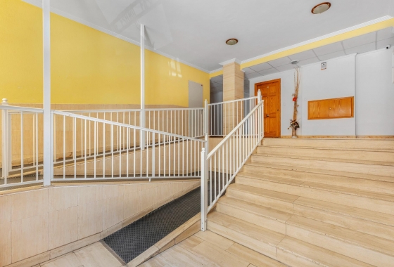 Rynek wtórny - Apartament - Torrevieja - Estacion de autobuses