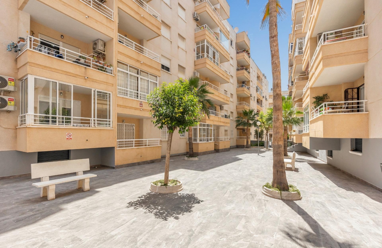 Rynek wtórny - Apartament - Torrevieja - Estacion de autobuses
