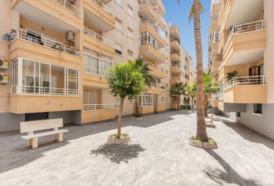 Rynek wtórny - Apartament - Torrevieja - Estacion de autobuses