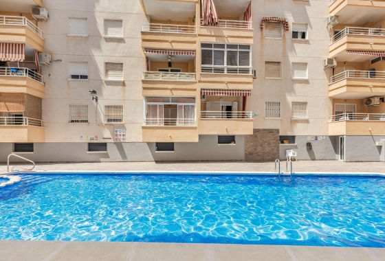 Rynek wtórny - Apartament - Torrevieja - Estacion de autobuses