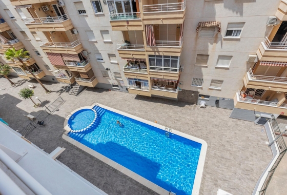Rynek wtórny - Apartament - Torrevieja - Estacion de autobuses