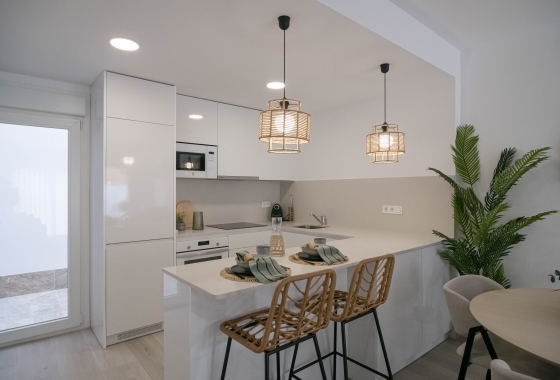 New Build - Semi-detached - Jerónimo y Avileses
