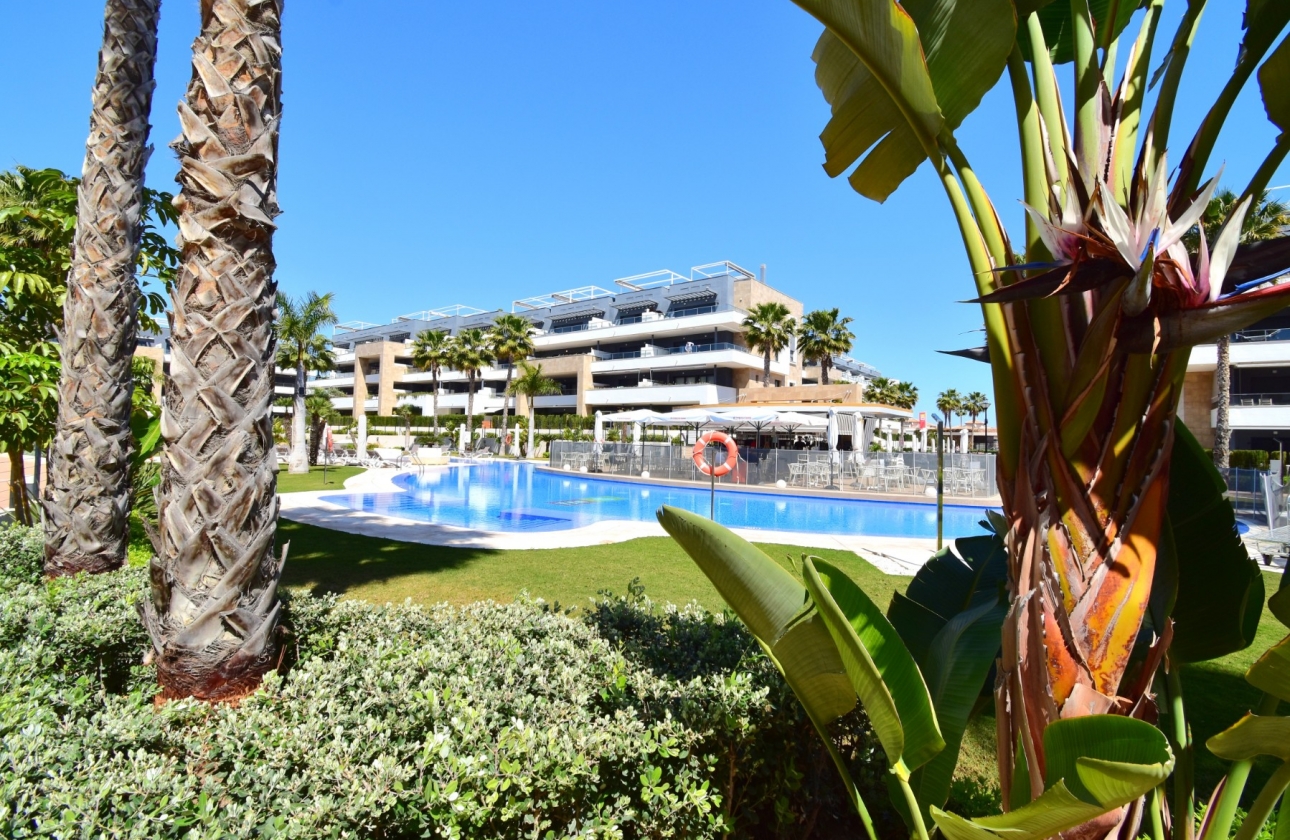 Rynek wtórny - Apartament - Orihuela Costa - Playa Flamenca