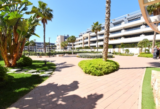 Rynek wtórny - Apartament - Orihuela Costa - Playa Flamenca