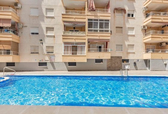 Rynek wtórny - Penthouse - Torrevieja - Estacion de autobuses