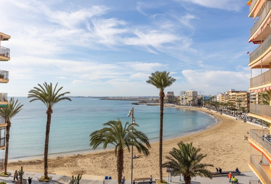 Rynek wtórny - Penthouse - Torrevieja - Estacion de autobuses