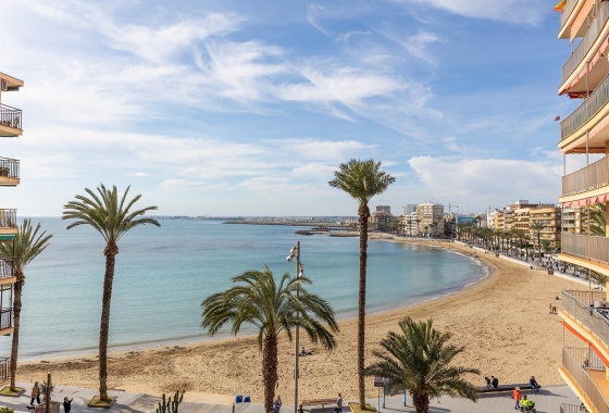Rynek wtórny - Penthouse - Torrevieja - Estacion de autobuses