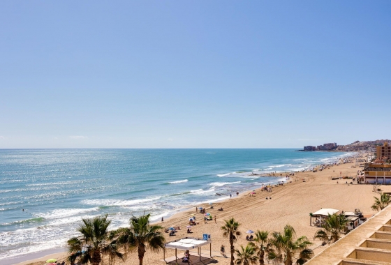 Rynek wtórny - Penthouse - Torrevieja - La Mata