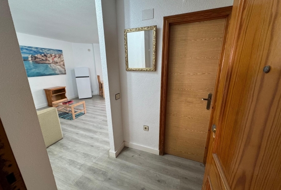 Rynek wtórny - Studio/Kawalerka - Torrevieja - Playa de los Locos