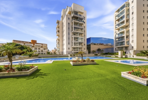 Rynek wtórny - Apartament - Torrevieja - La Mata