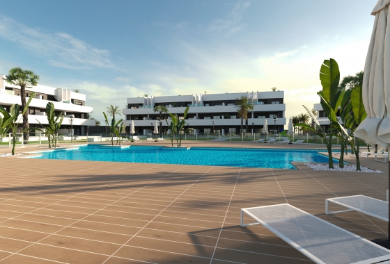 Obra nueva - Apartment - Guardamar del Segura - Guardamar del segura
