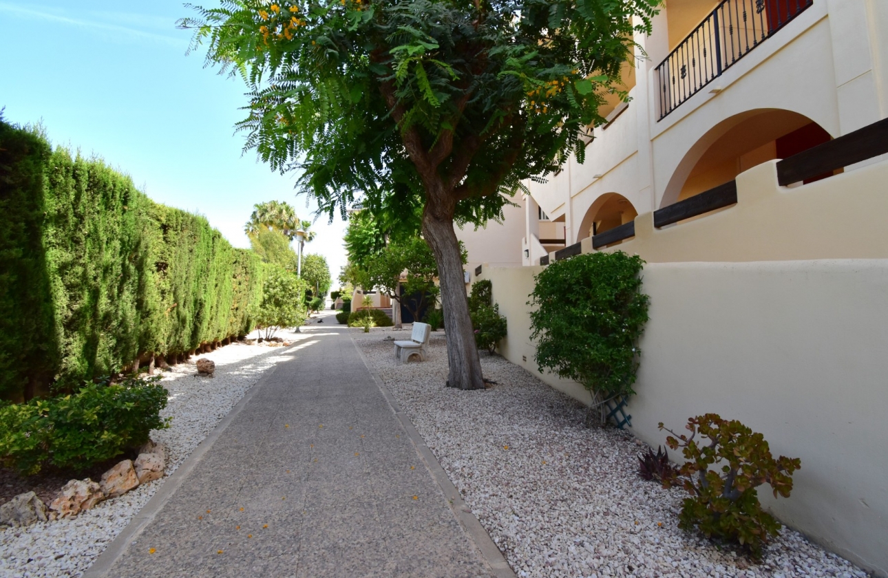 Reventa - Apartment - Orihuela Costa - Playa Flamenca
