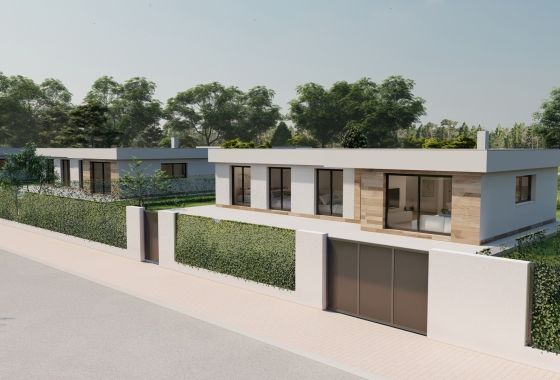 Obra nueva - Detached - Calasparra