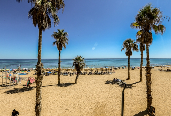 Resale - Apartment - Torrevieja - La Mata