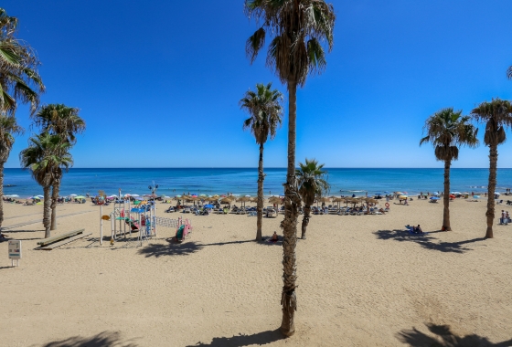 Resale - Apartment - Torrevieja - La Mata
