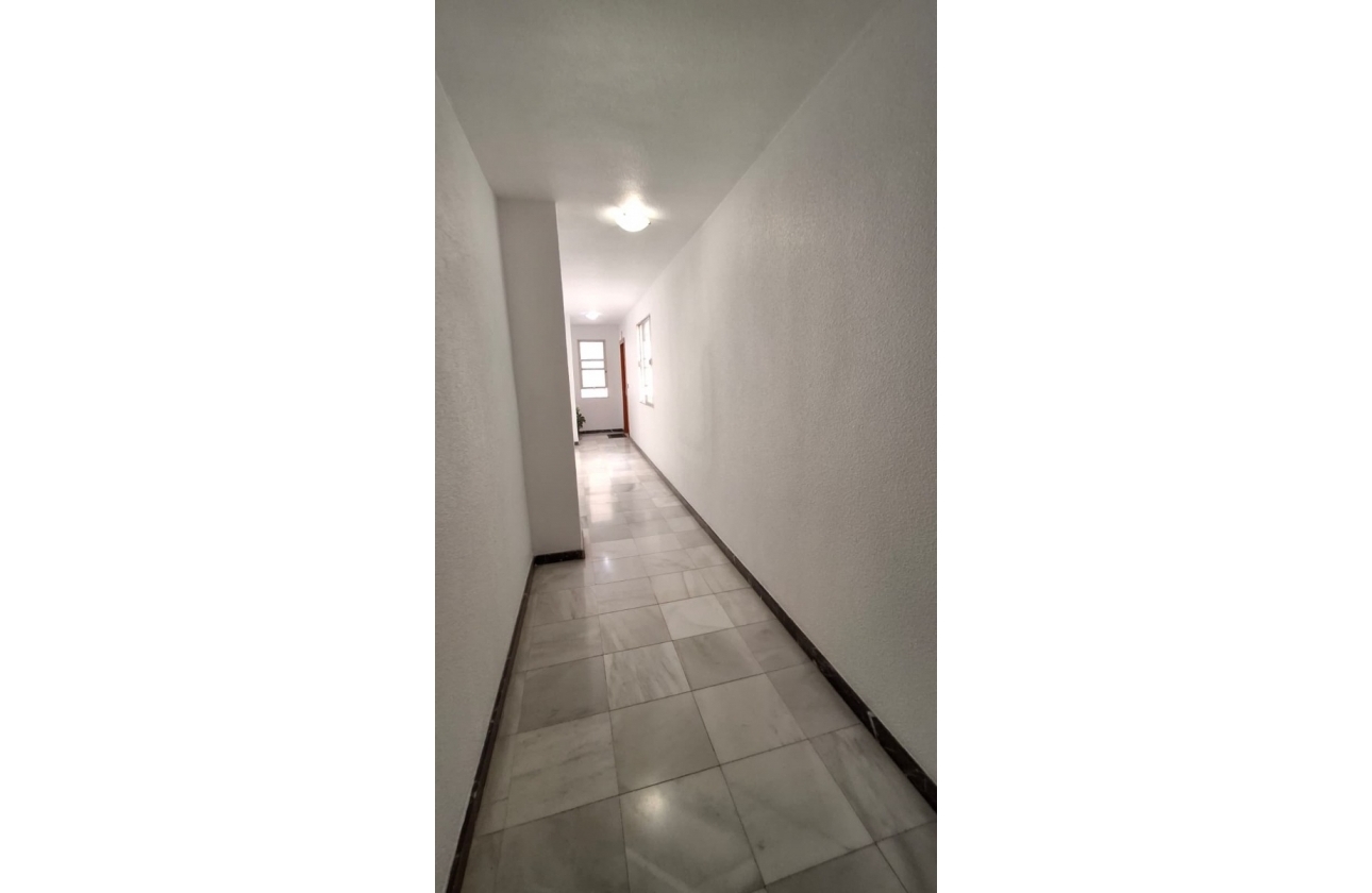 Resale - Apartment - Orihuela - Zona Centro