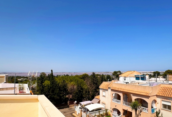 Rynek wtórny - Bungalow - Torrevieja - Los Balcones