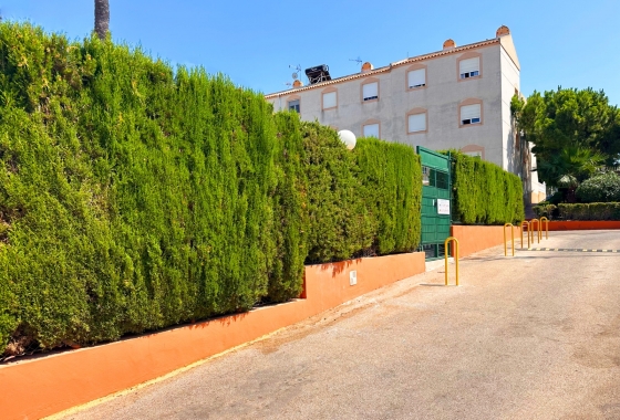 Rynek wtórny - Bungalow - Torrevieja - Los Balcones