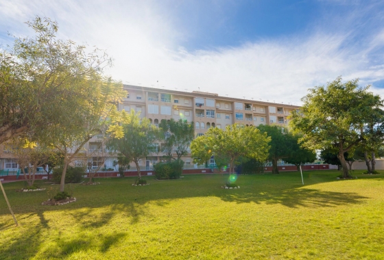 Resale - Penthouse - Torrevieja - Parque de las Naciones