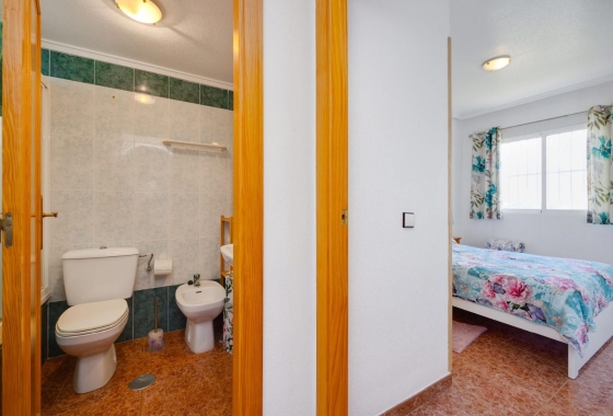 Rynek wtórny - Apartament - Torrevieja - Parque de las Naciones