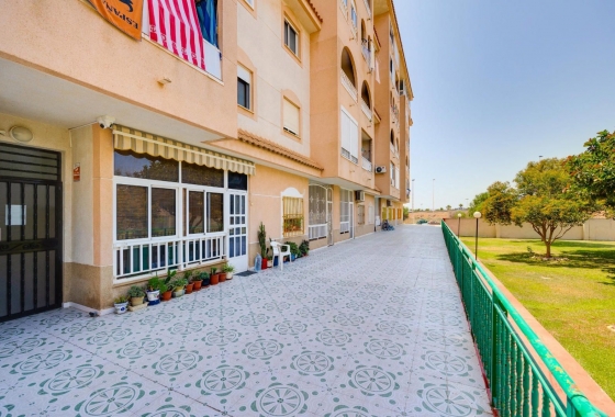 Rynek wtórny - Apartament - Torrevieja - Parque de las Naciones