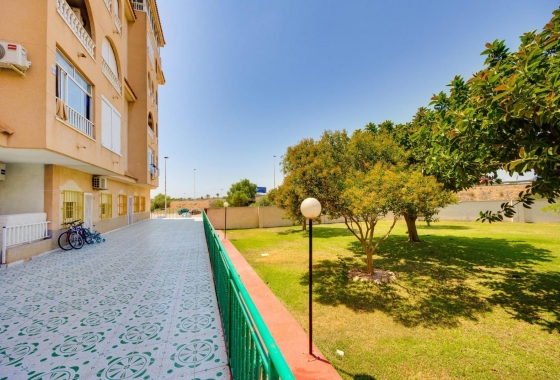 Rynek wtórny - Apartament - Torrevieja - Parque de las Naciones