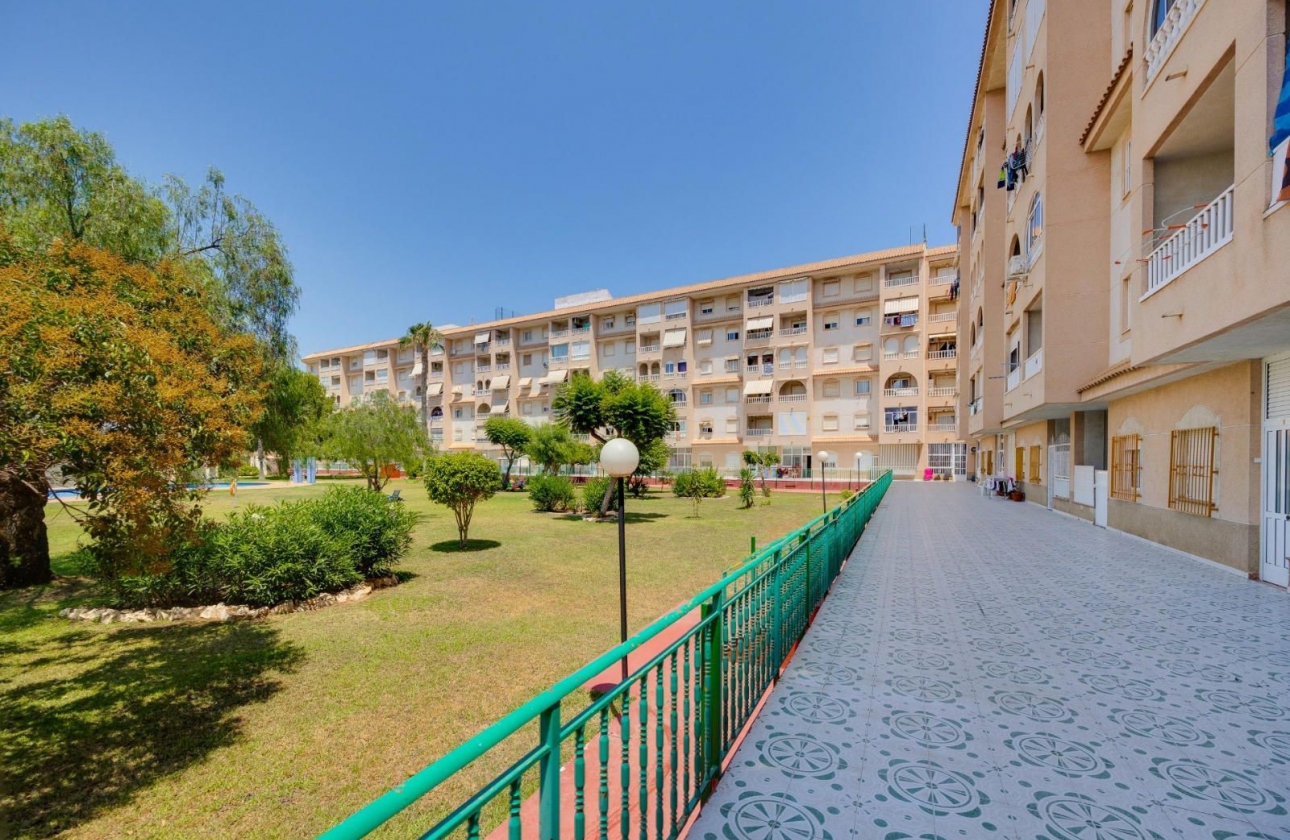 Rynek wtórny - Apartament - Torrevieja - Parque de las Naciones