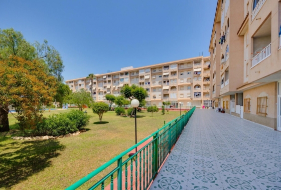 Rynek wtórny - Apartament - Torrevieja - Parque de las Naciones