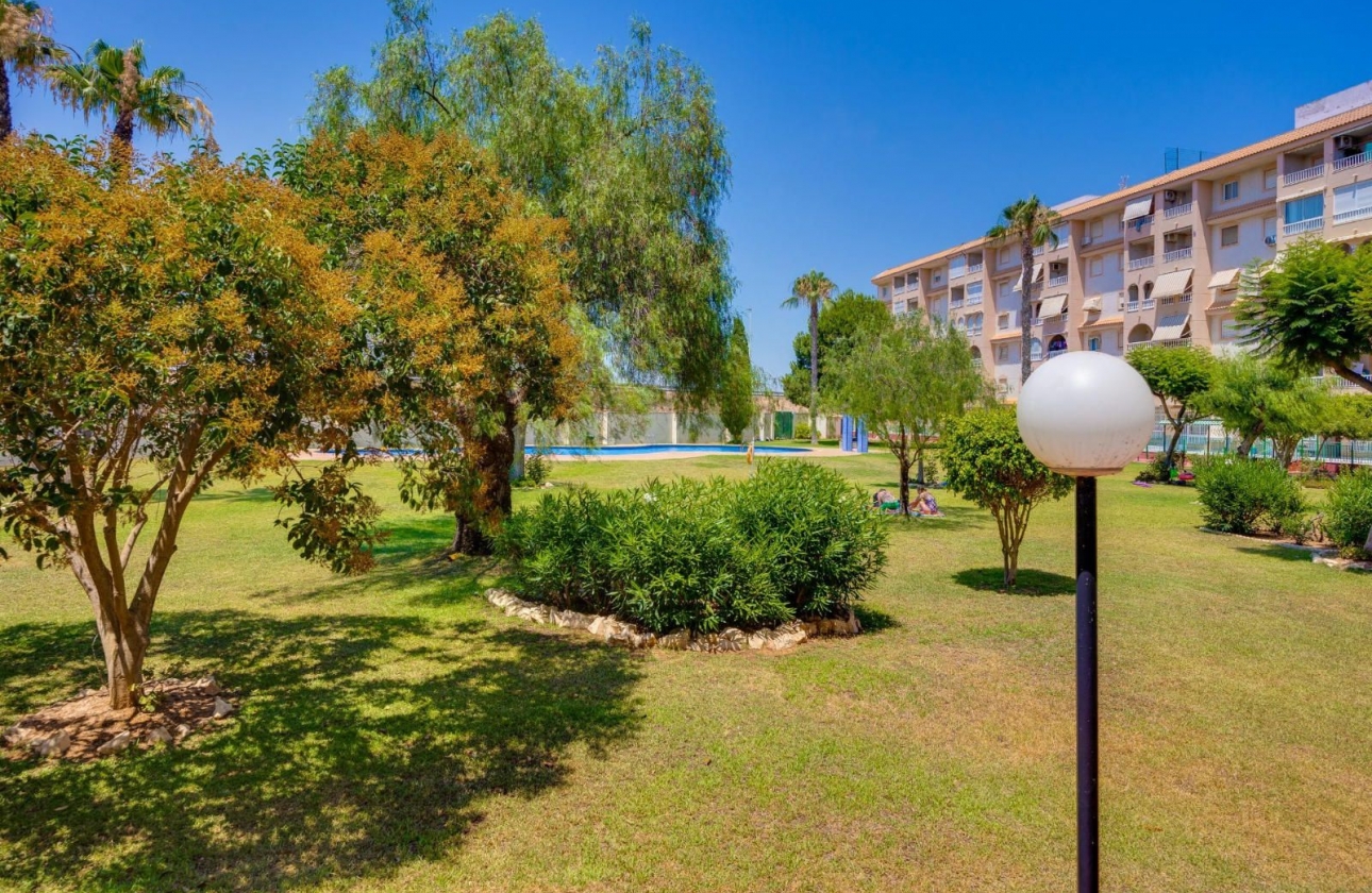 Rynek wtórny - Apartament - Torrevieja - Parque de las Naciones