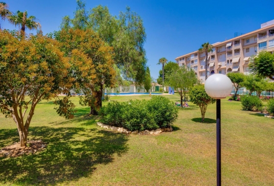 Rynek wtórny - Apartament - Torrevieja - Parque de las Naciones