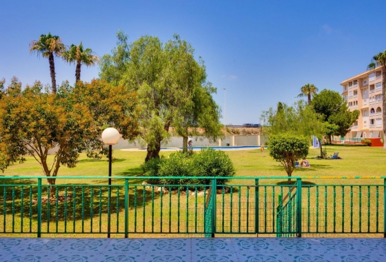 Rynek wtórny - Apartament - Torrevieja - Parque de las Naciones