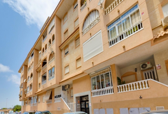 Rynek wtórny - Apartament - Torrevieja - Parque de las Naciones