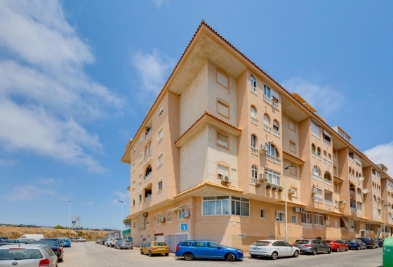 Rynek wtórny - Apartament - Torrevieja - Parque de las Naciones