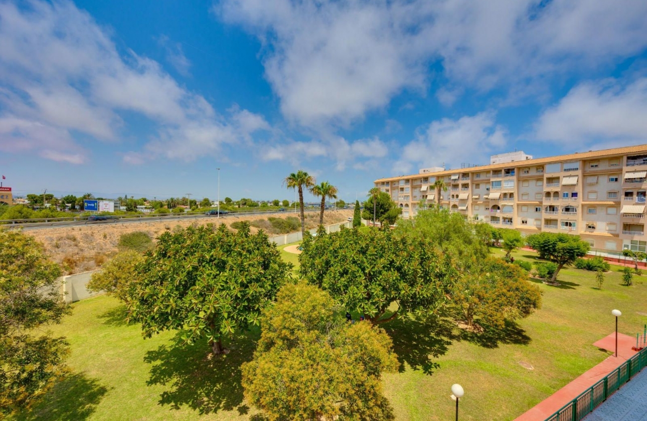 Rynek wtórny - Apartament - Torrevieja - Parque de las Naciones
