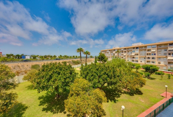Rynek wtórny - Apartament - Torrevieja - Parque de las Naciones