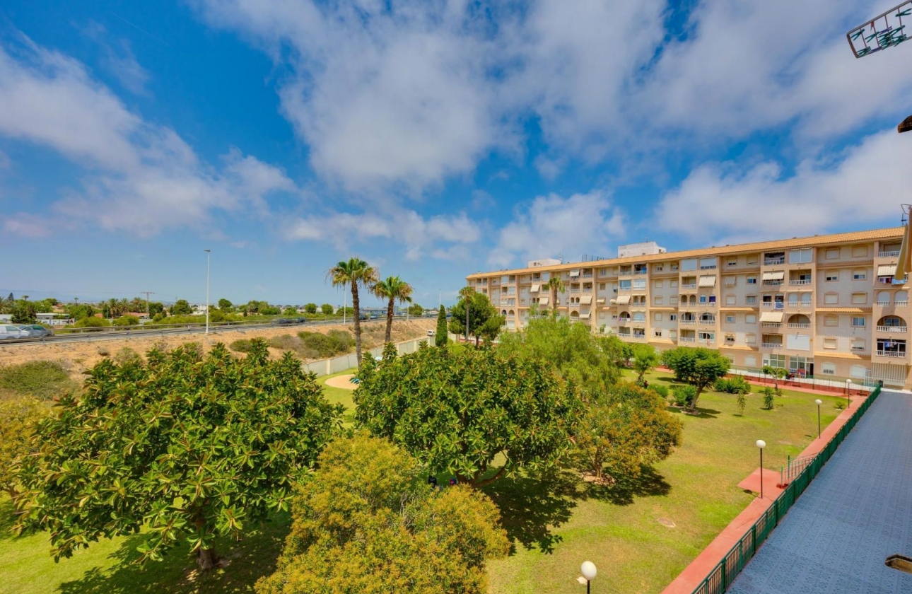 Rynek wtórny - Apartament - Torrevieja - Parque de las Naciones
