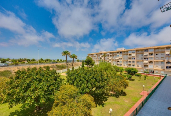 Rynek wtórny - Apartament - Torrevieja - Parque de las Naciones