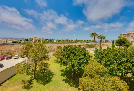 Rynek wtórny - Apartament - Torrevieja - Parque de las Naciones
