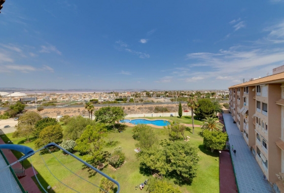 Rynek wtórny - Apartament - Torrevieja - Parque de las Naciones