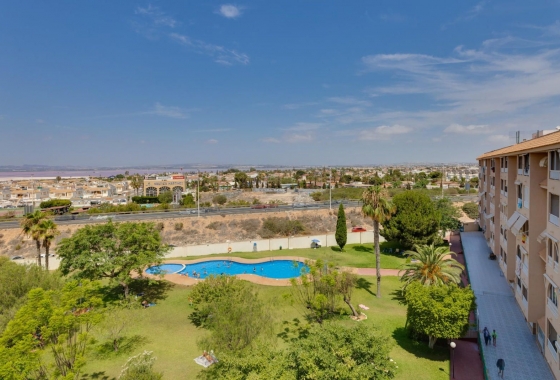 Rynek wtórny - Apartament - Torrevieja - Parque de las Naciones