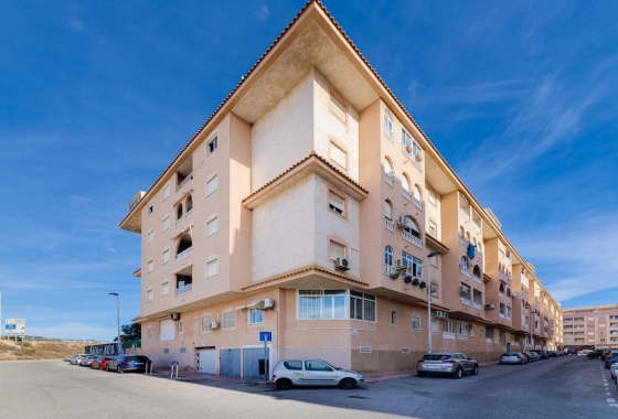 Rynek wtórny - Apartament - Torrevieja - Parque de las Naciones