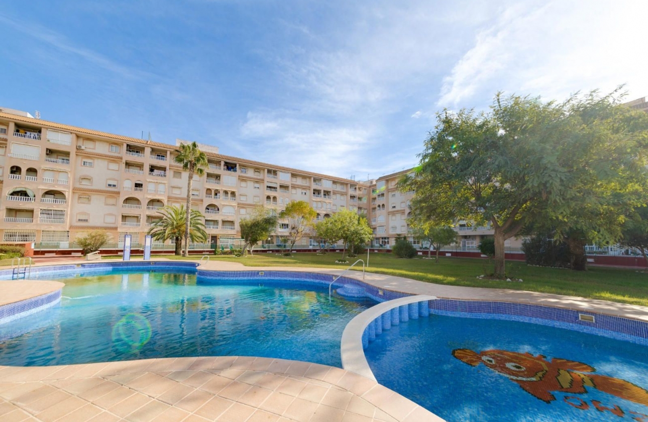 Rynek wtórny - Apartament - Torrevieja - Parque de las Naciones
