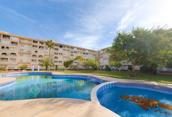 Rynek wtórny - Apartament - Torrevieja - Parque de las Naciones