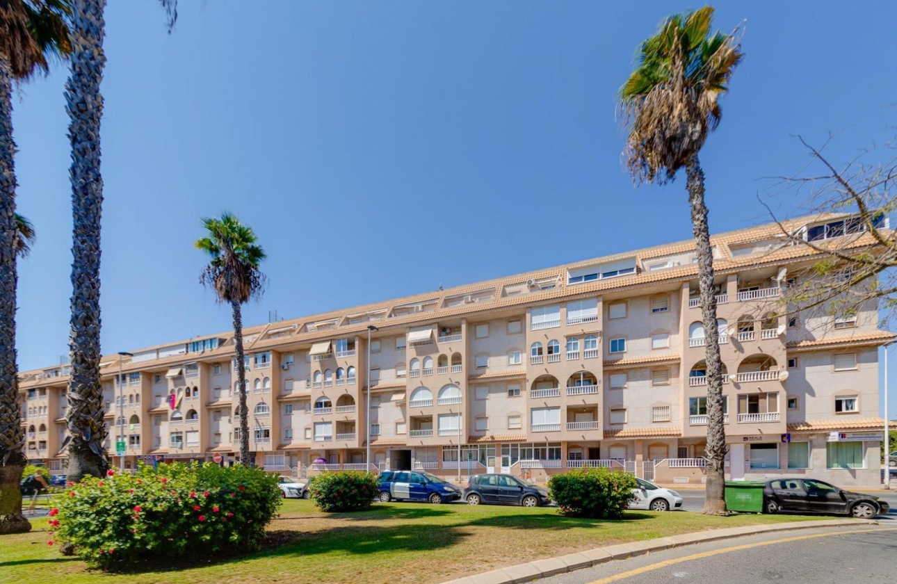 Rynek wtórny - Apartament - Torrevieja - Parque de las Naciones